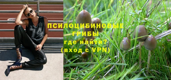 герыч Алексин