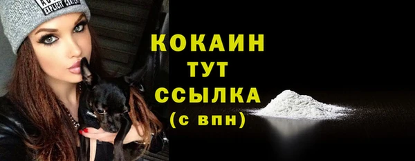 гашик Семилуки