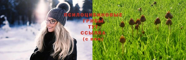 гидра Алексеевка