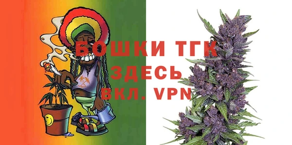 гидра Алексеевка