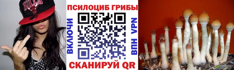 omg ONION shop официальный сайт Псилоцибиновые грибы прущие грибы Калтан